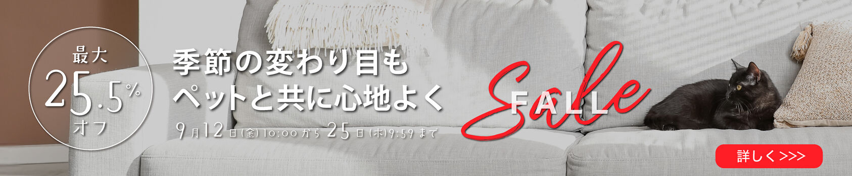 記事 |《 大切なペットと共に 》季節の変わり目を心地よく