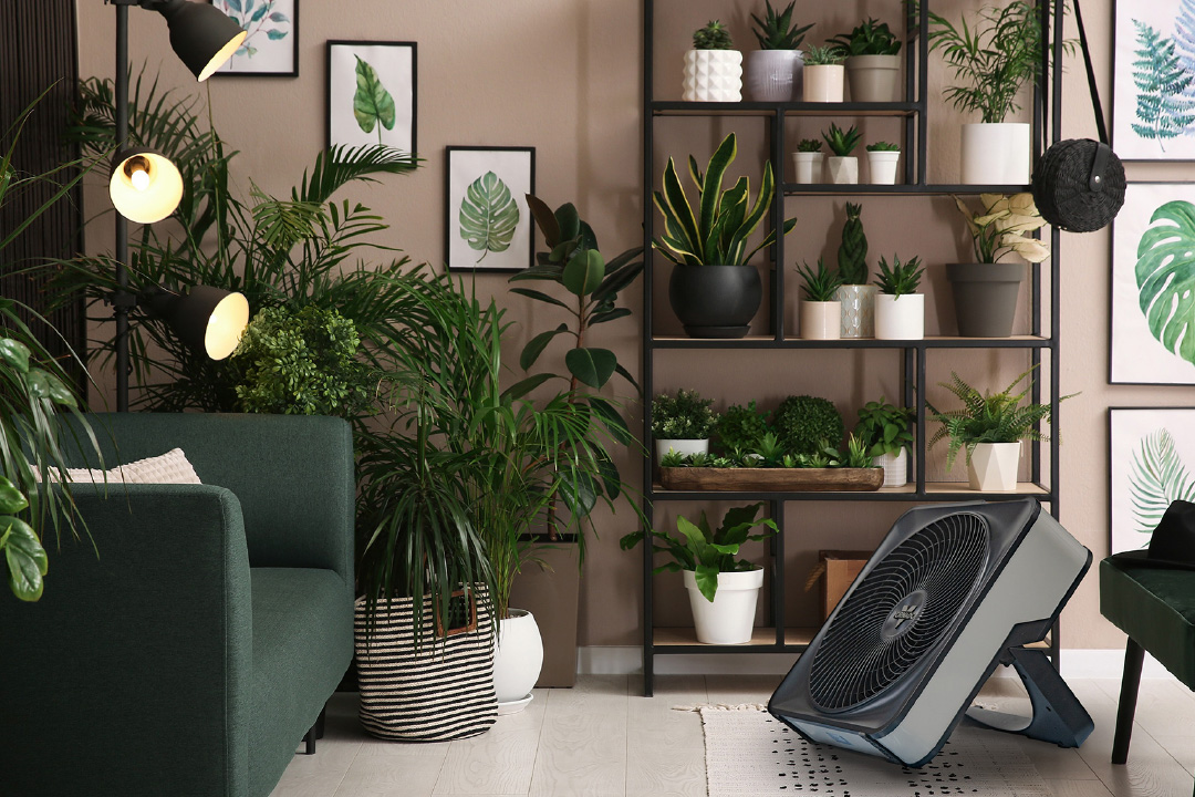 グリーンの多いリビングにそよ風を